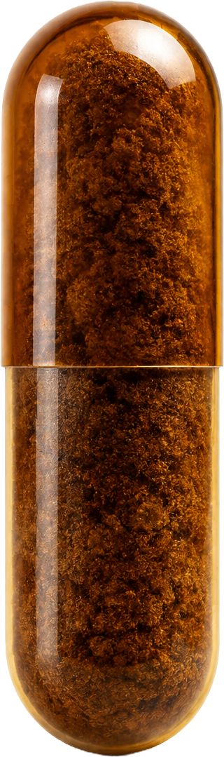 Mykora capsule
