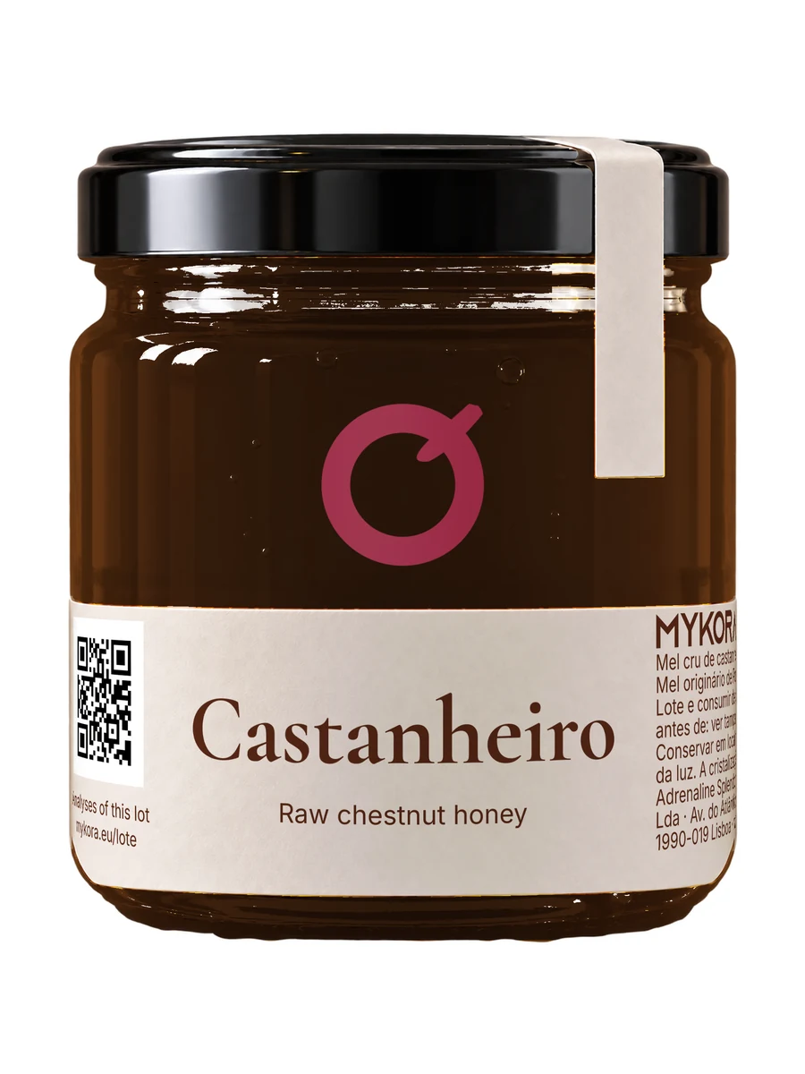 MYKORA Castanheiro, studio front; generated illustration with original artwork