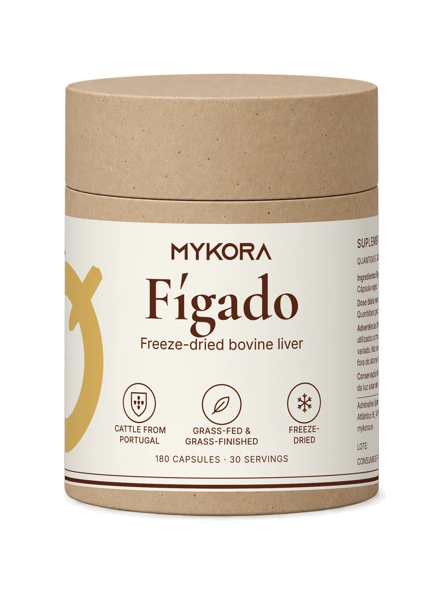 MYKORA Fígado, studio front; generated illustration with original artwork