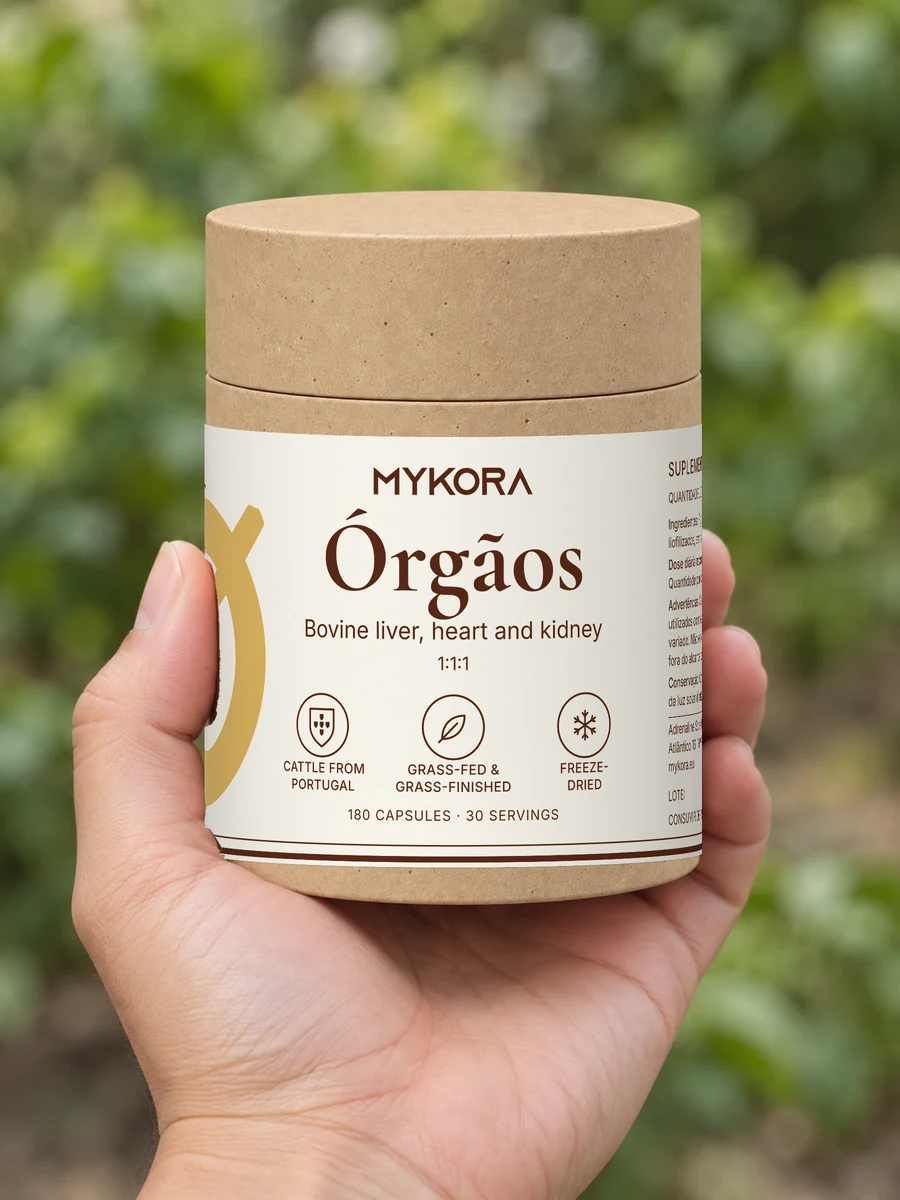 MYKORA Órgãos, held outdoors in cropped hands; generated illustration with original artwork