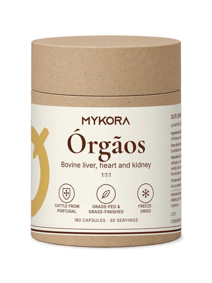 MYKORA Órgãos, studio front; generated illustration with original artwork