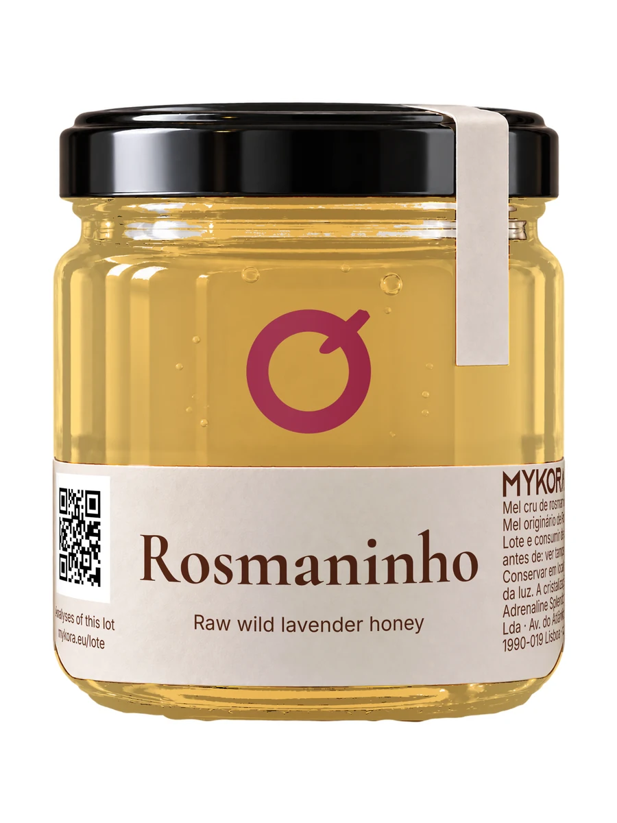 MYKORA Rosmaninho, studio front; generated illustration with original artwork