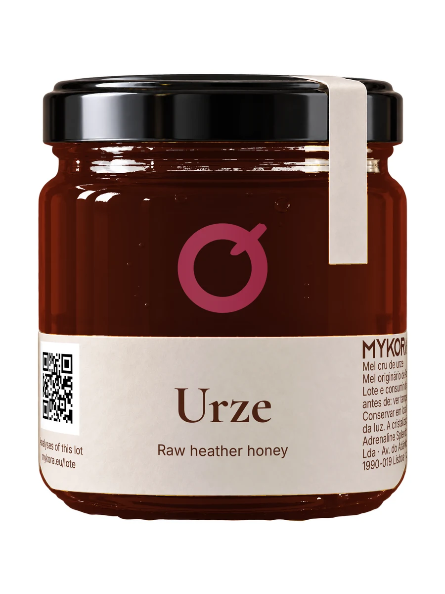 MYKORA Urze, studio front; generated illustration with original artwork