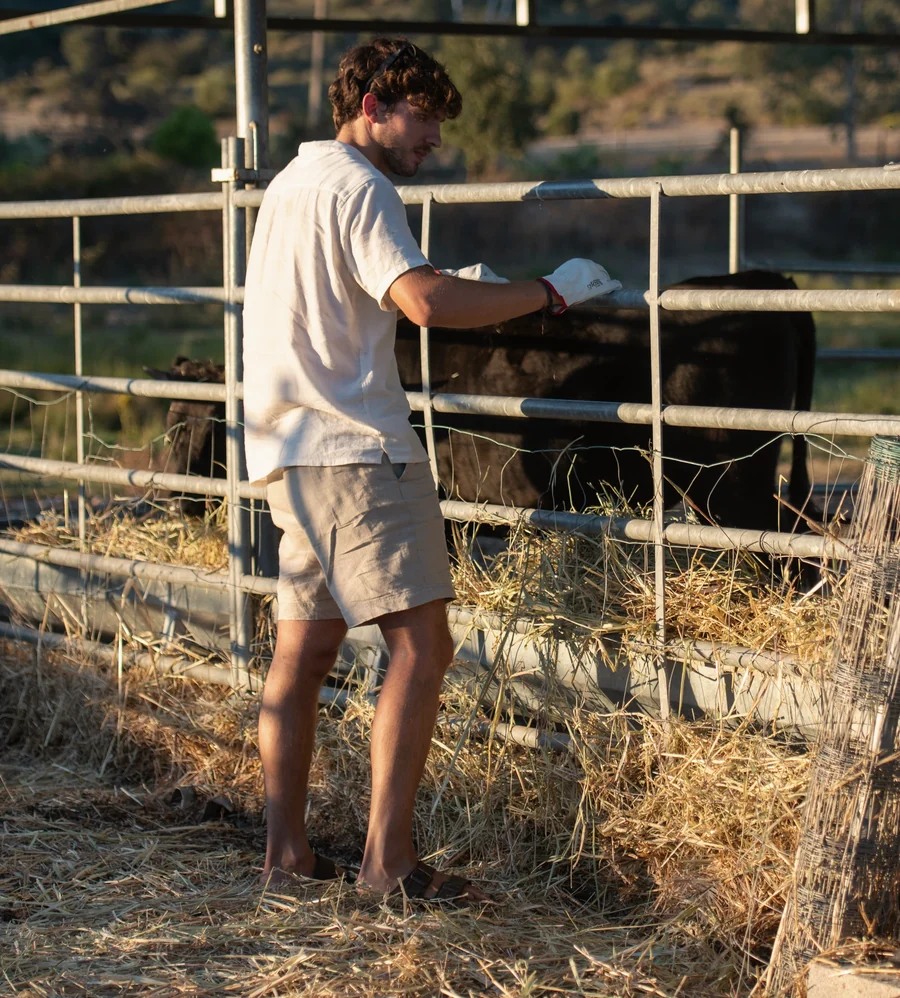Nuno with cattle in Portugal’s interior