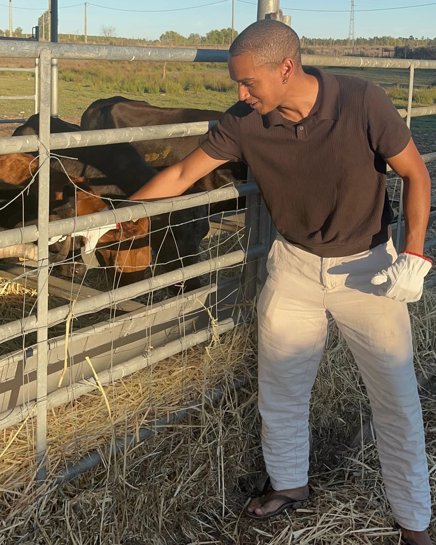 Tomás with cattle in Portugal’s interior